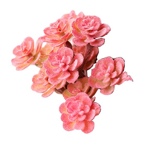 Micro Landscape Ornament Simulation No Watering Realistic Ornaments Flocking Texture Indoor