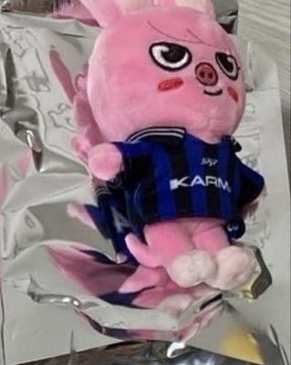 [USED] Straykids KARMA Changbin Touekki Skzoo Plush Toy