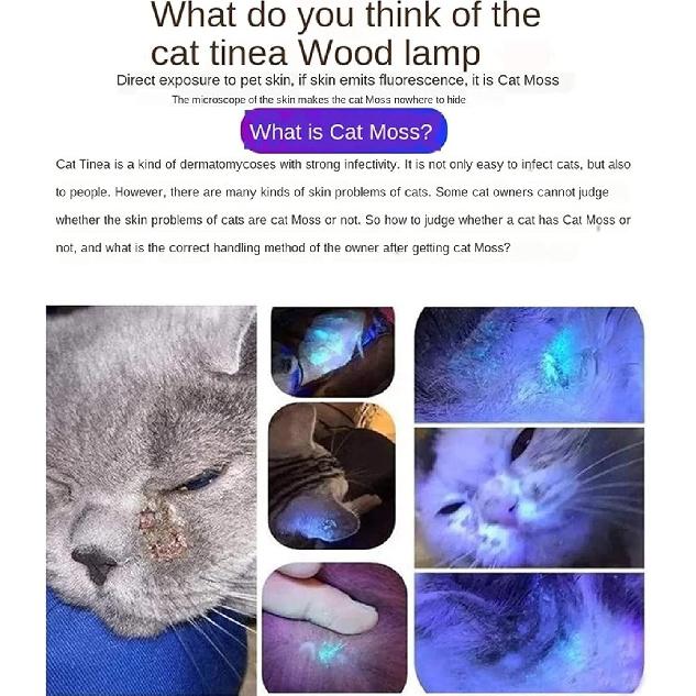 Portable Wood's Lamp, Light Pet Fungus Detection Veterinary Pocket Vet Professional Set with Magnetic Back Cover for Cat Dog Moss Detection