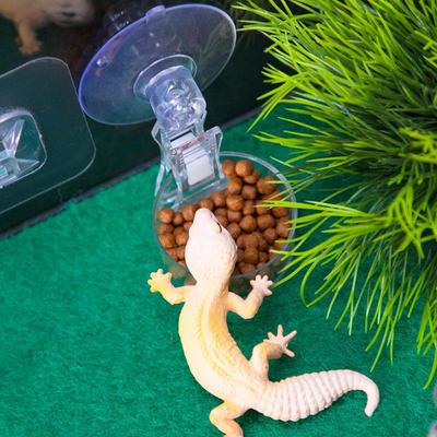 Reptiel Water Voedselbakje Zuignap Voedselbakje Gecko Reptielen Hagedissen Spin Boomkikkers Voederbakje Habitat Decoratie Huisdierbenodigdheden