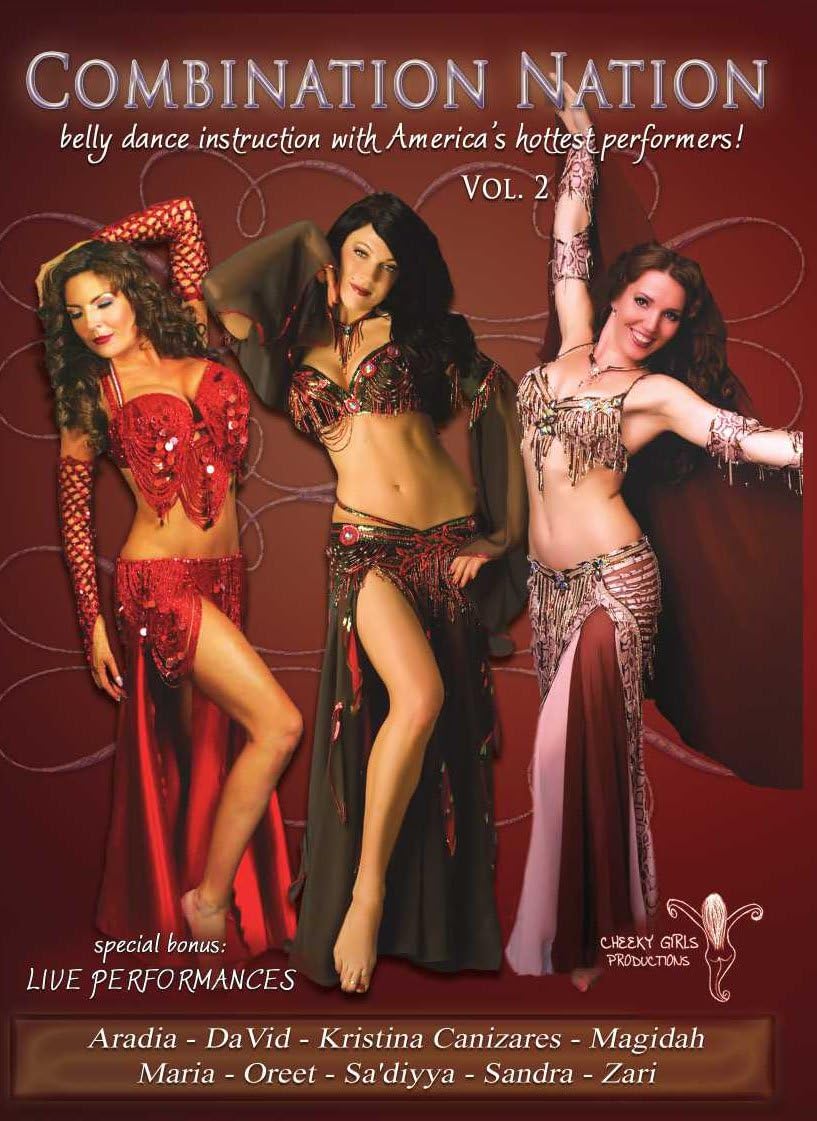 

DVD ТАНЕЦ ЖИВОТА - Нация Комбинаций Том 2: Танец живота НИКАКОЙ Япония Музыкальное видео Использовано