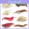 Ocean Animal Pvc Pipi Shrimp And Crab Figures Set With Static Marine Models For Marine Enthusiasts