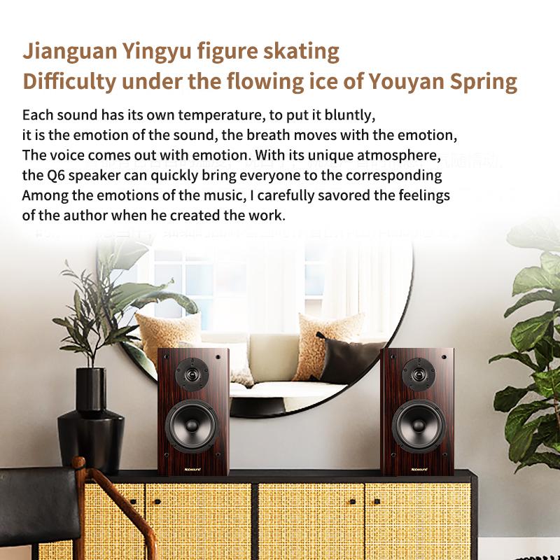 6.5 Inch Two-Way Desktop Speaker HiFi High Power Audio Speaker Passive Bookshelf Surround Home Theater Speaker Monitor Sound Box