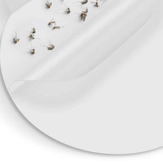 10 sztuk w 1 pudełku Pułapki na muchy Lepkie deski klejące Silna lepkość Muchówki Meszki Ćmy Lampa na komary Wymienne lepkie podkładki Zestaw