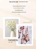 Spring Knit Two-Piece Set: Stylish Short-Sleeve Top for Middle-Aged & Elderly Women
