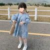 Girls' Floral Long-Sleeve Mid-Length Spring 2025 Princess Dress - Korean Pastoral Style
