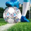 Pallone da Calcio Erling Haaland Taglia 5, Cucito a Macchina in PVC, Resistente e ad Alto Rimbalzo, Adatto a Tutte le Età, Merchandising per tifosi, Partite e Uso all'Aperto.