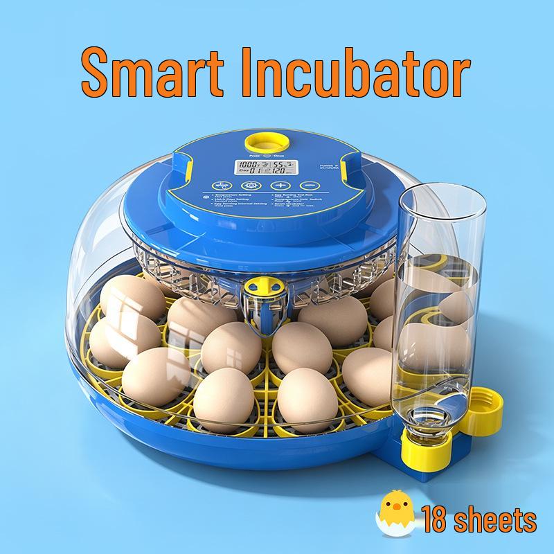 Smart Mini Egg Incubator for Parrots and Budgies: Automatic Pet Hatchery Equipment