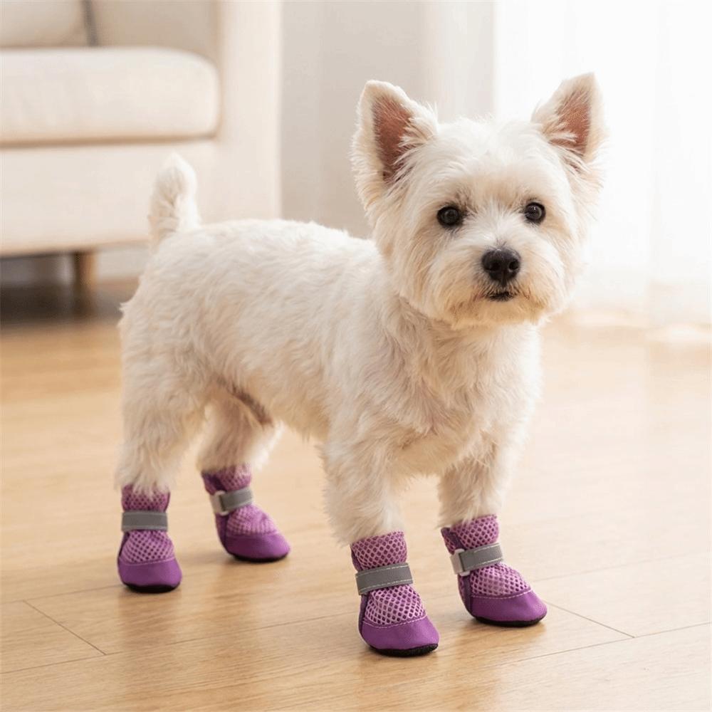 4PCS/SET Wear-Resistant Dog Sneakers Breathable Pet Footwear Dog Boots Dog Foot Covers  Training