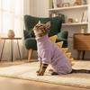 Funny Dinosaur Shape Cat Clothes Warm Hairless Cat Thermal Clothing Comfortable Solid Color Cat T-shirt Pets Clothing
