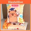 Short Plush Cushion Blanket For Students Graduation Gift