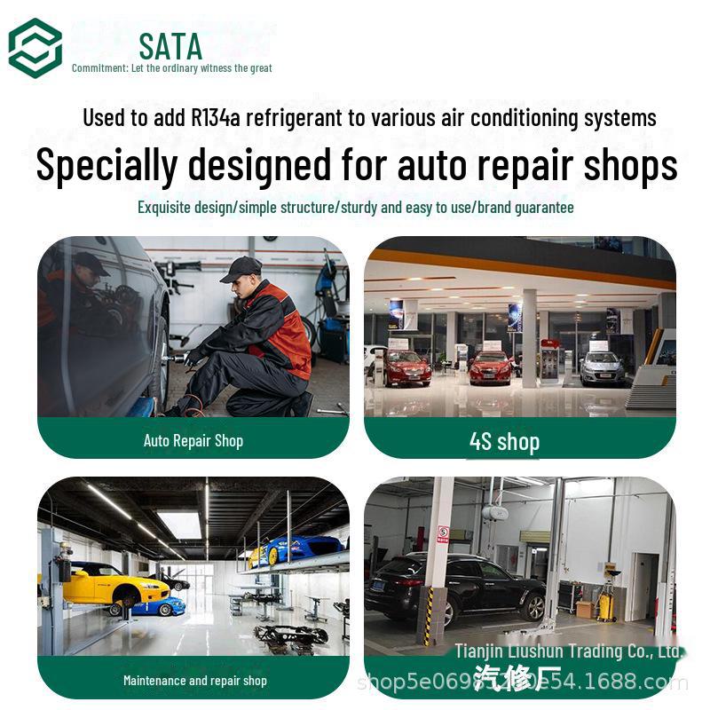 Shida AE5741 Two-Way Refrigerant & Ammonia Meter Set for Auto AC