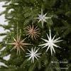 3D Glitter Explosion Star Acrylic Christmas Tree Ornament