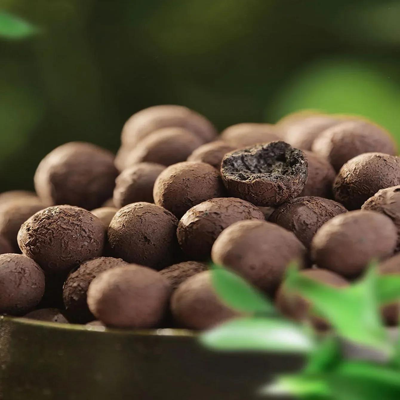 

500 г/упаковка Керамзитовые Шарики Глиняная Галька Для Растений, Глиняная Галька Для Гидропонного Выращивания, коричневый