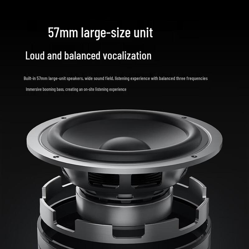 Philips Wireless Portable Bluetooth Speaker (CN version)