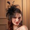 Luxury Small Top Hat Headband Elegant Wedding Head Hoop Feathers Mesh Headband  Stage Performance
