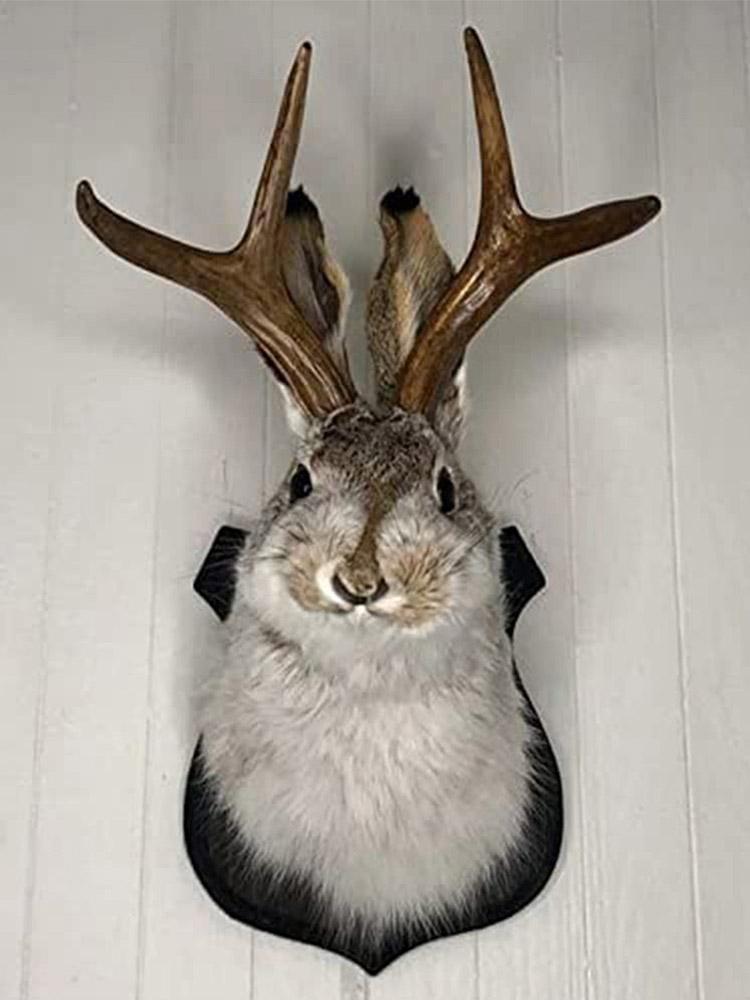 Legend of Antlers Deer Head Wall Mount Resin Decor