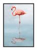 Picture Poster In a Frame 43x33 Cm Flamingo P687