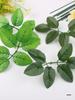 DIY Silk Flower Stem Kit: Includes Materials for Handmade Ribbon Roses, Sticks, Green Wire Branches, and Fake Leaves Tape.