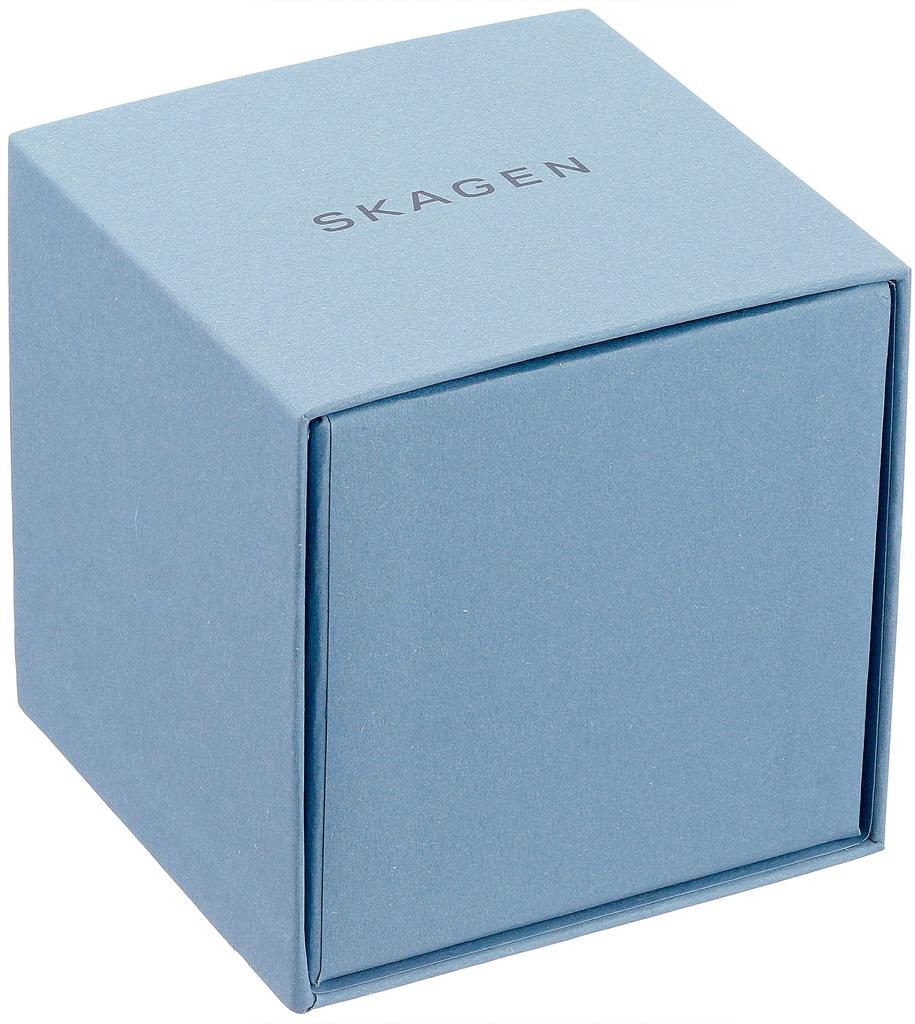 Skagen Men's Ancher Quartz Chronograph Watch Stainless Steel and Leather Color Gray, Braun (Model SKW6418)