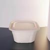 Umweltfreundliche Take-Away-Box aus Maisstärke