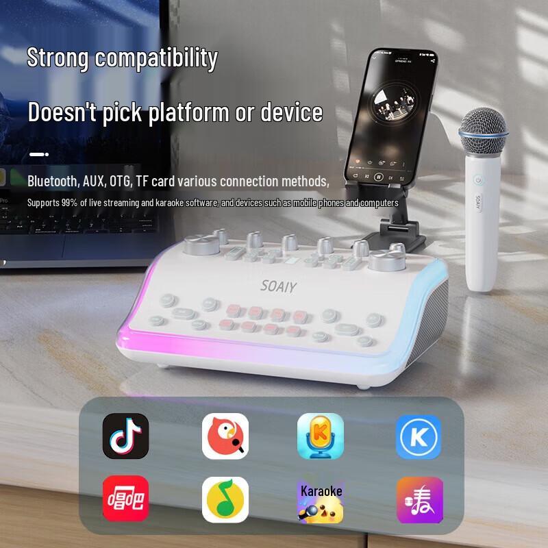 Soaiy SG60 All-in-One KTV Sound System with Dual Microphones CN Plug (adapter Included)