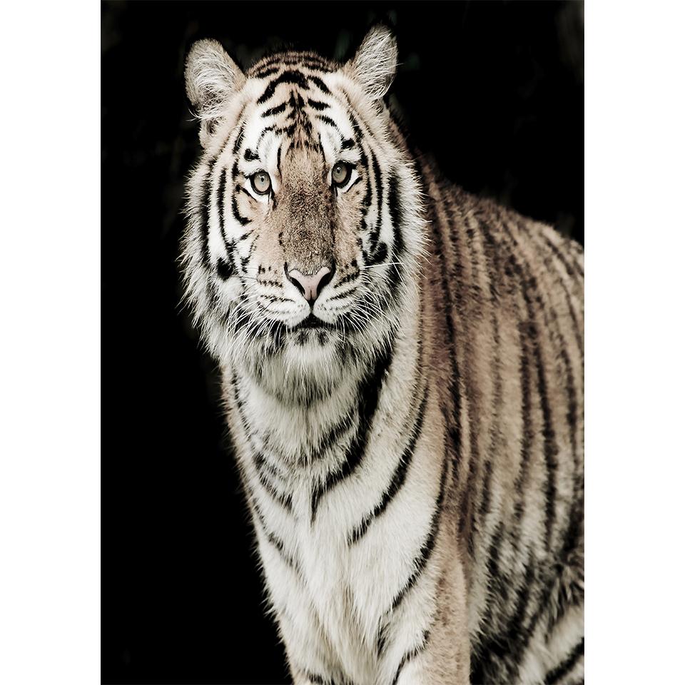 5D DIY Diamond Painting Animal Tiger Rhinestone Art Picture Full Diamond Embroidery Mosaic Home Decor Gift Kit