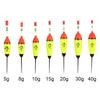 Hot 5g 8g 10g 15g 20g 30g 40g EVA Luminous Fishing Night Float High Quality Long Vertical Night Lighting Fishing Floats Bobber