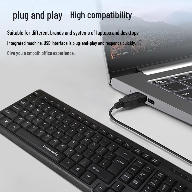 Lenovo KL21 Wired USB Keyboard