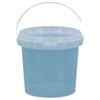 Shiqinkun Mini Transparent Food Storage Buckets