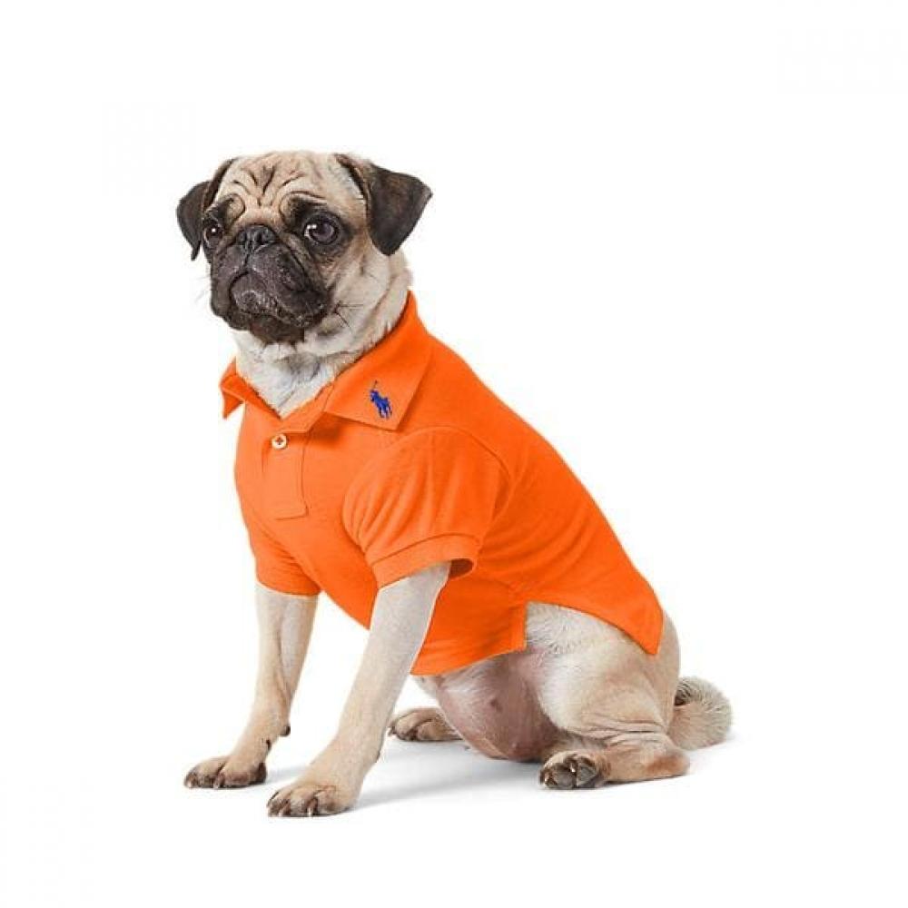 Polo Ralph Lauren Cotton Mesh Dog Polo Shirt Hmpogfthr920053800 XLARG
