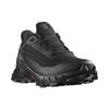 Alphacross 5 Salomon GORE-TEX 'Black Ebony' Sneakers L47307500