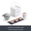 Mr. Nanshan Portable Kung Fu Travel Tea Set