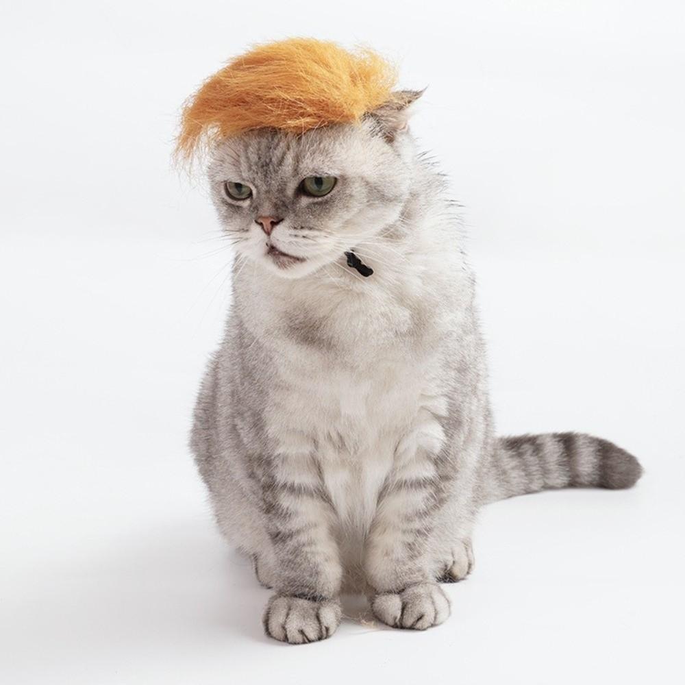 Crazy Costume Eye-catching Cat Yellow Wig Novelty DIY Trimming Cat Headdress Polyester Adjustable Dog Wig Party Dress-Up