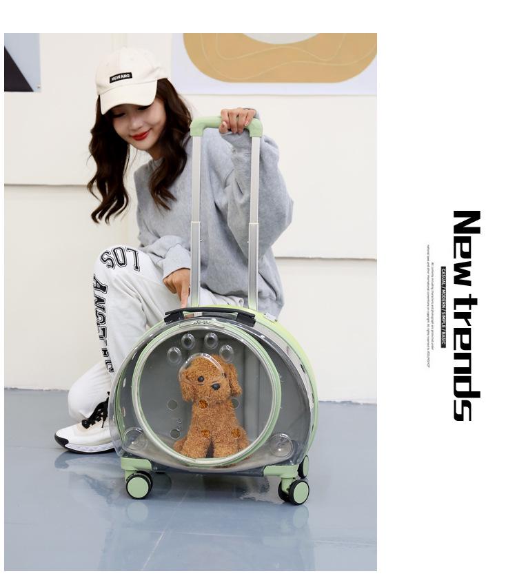 Von Fluggesellschaften zugelassener transparenter Haustier-Rucksack-Trolley für Katzen und Hunde