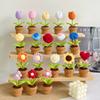 Small potted plant crochet simulation flower potted plant flower decoration creative gift ornament cute little ornament