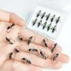 7Pcs Griffith Ant(Black)Fly for Trout Fishing Nymph Artificial Bait Lure-Fly Fishing Flies Bait-With Flies Box