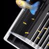 Breeding Tanks for Aquarium Fish Fry Isolation Box Hatchery Box for Fish Fry Clear Fish Spawning Box