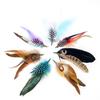 Natural Feathers Decoration Headdress Beautiful Chicken Pheasant Feather For Crafts Wedding Carnival Stage Hats Accessories
