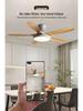 Large Airflow Ceiling Fan with Chandelier for Home & Restaurant, 110V
