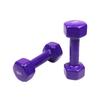 Yimai Colored Solid Iron Dumbbells for Women Home Fitness