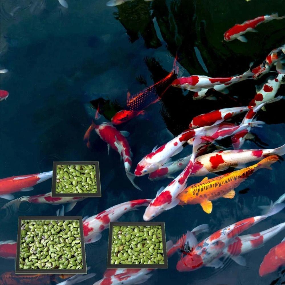 3Pcs/set EVA Foam Aquarium Floating Ring Fish Tank Barrier Ring for Fish Tank Aquascape Decor
