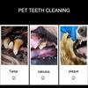 Pet Dog Toothbrush Stainless Steel Double Heads Pets Teeth Cleaning Tools Dental Stones Scraper