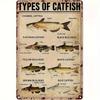 Vintage Catfish Identification Guide  Educational Metal Wall Art for Fishing Enthusiasts Perfect Home Man Cave Cabin