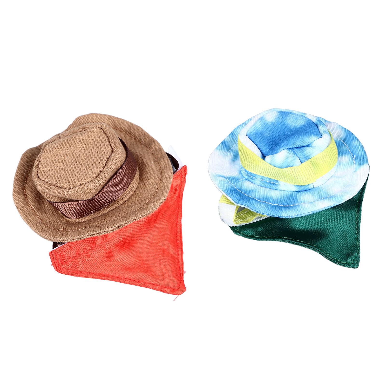 Костюм рептилии на Хэллоуин в виде ковбойской шляпы и банданы с бородатым драконом — фото 11