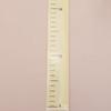 2-Meter Height Growth Chart Transparent Measuring Ruler  Living Room