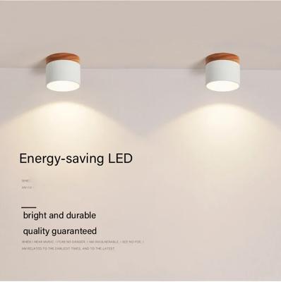 Stropní svítidla – Stropní svítidla