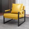 Nordic Single Lazy Sofa Italian Light Luxury Wrought Iron Leisure Chair Balcony Bedroom Living Room Sofa Chair Tiger Chair