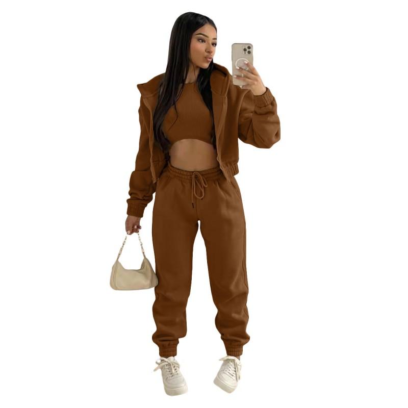 Womens 2026 Warm Fleece-Lined Hooded Sweatshirt Set 3-Piece Casual Streetwear Outfit In Pink Orange Gray Black Brown Khaki