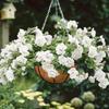 8/10/12/14/16 Inch Round Coconut Palm Pot Liner Hanging Basket Replacement Liner Gardening Planting Cultivating Accessories